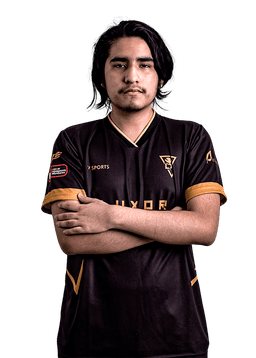 Diego&nbsp;Alonso Farfan Arellano