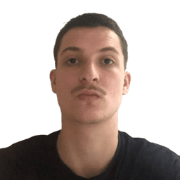 Yannick Frota Renault