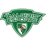 Žalgiris Esports logo