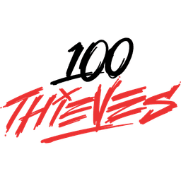 100 Thieves Next