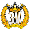 3v Team logo