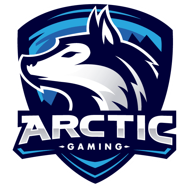 Arctic Gaming