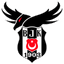 Beşiktaş Academy