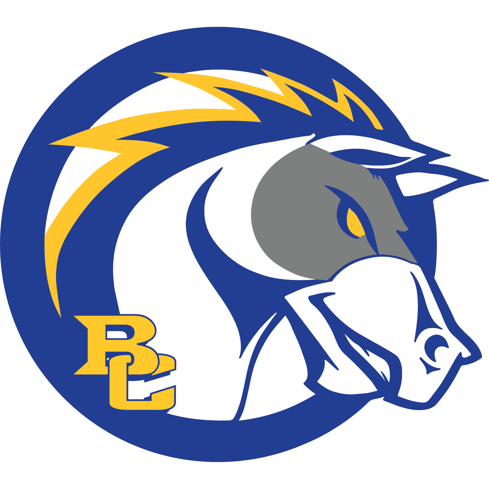 Briar Cliff University
