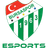 Bursaspor Esports