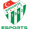Bursaspor Esports logo