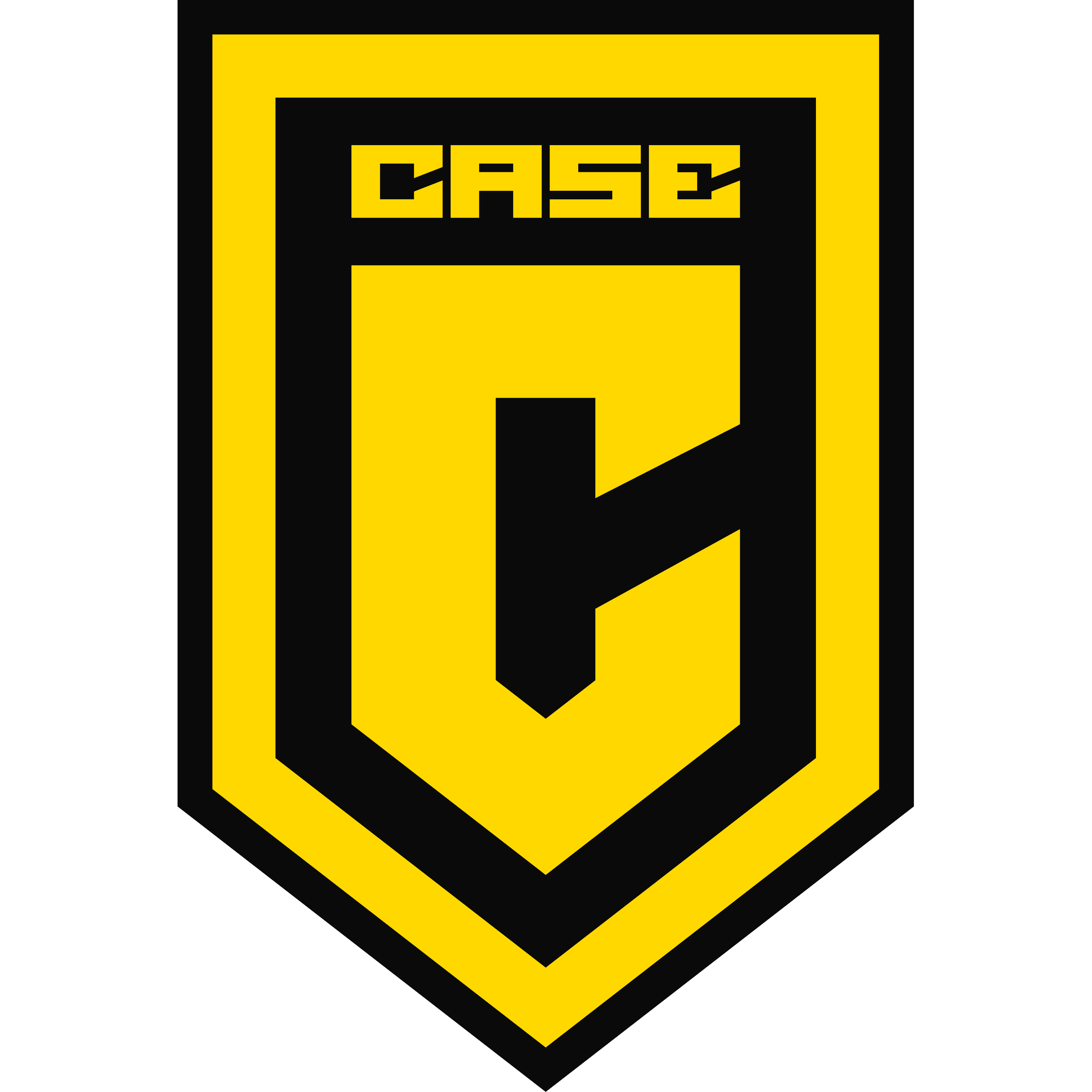 Case Esports