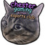 Chester Gaming Kitten Esports Club logo