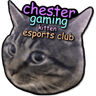 Chester Gaming Kitten Esports Club logo
