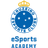 Cruzeiro Academy