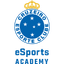 Cruzeiro Academy logo