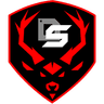 DS Gaming logo