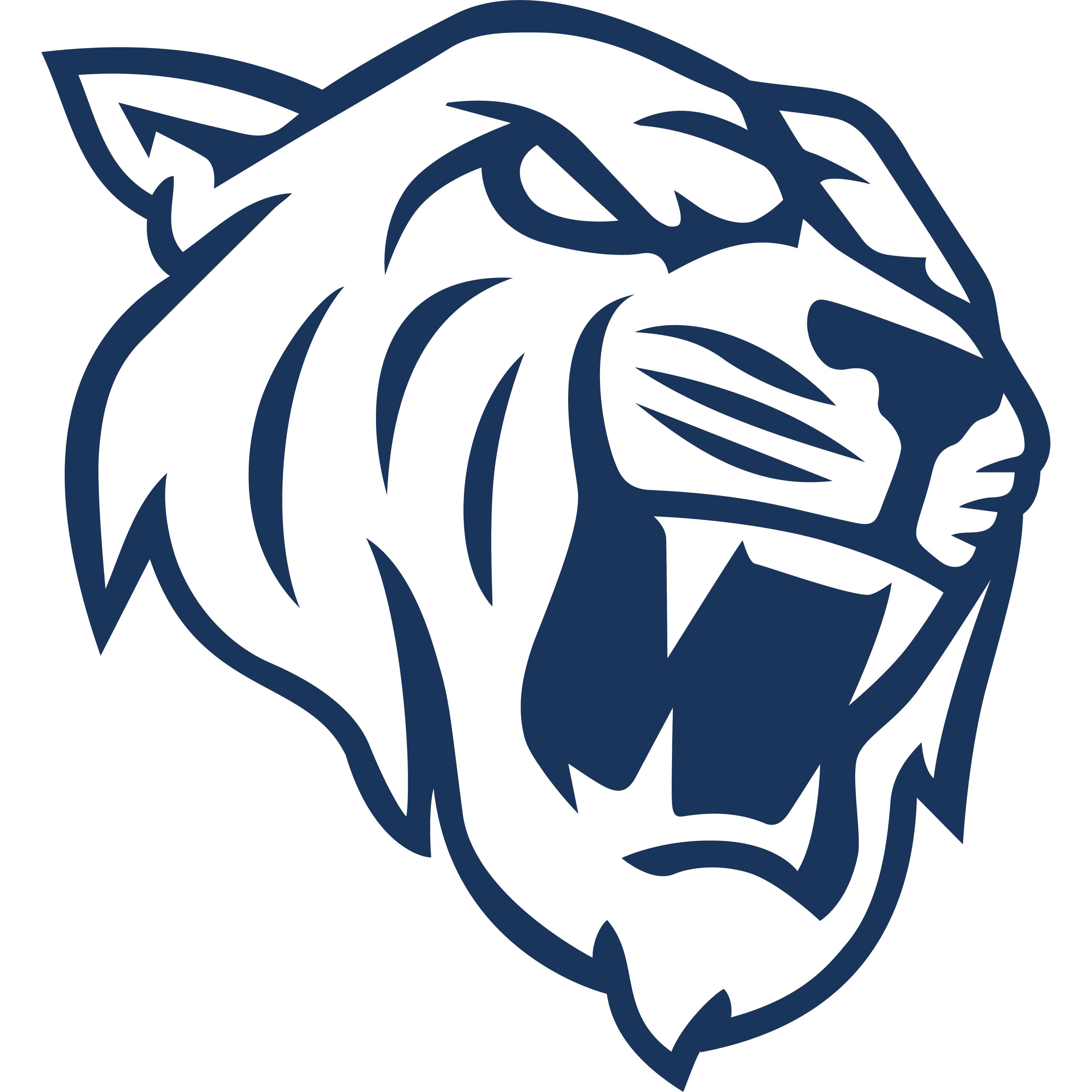 Dark Passage Academy