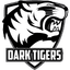 Dark Tigers Academy logo