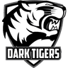 Dark Tigers Academy logo