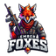 Ember Foxes