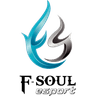 F-Soul Esports logo
