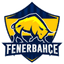 Fenerbahçe Academy