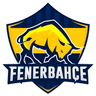 Fenerbahçe Academy logo