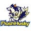 Flash Husky logo