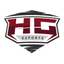 HG Esports logo