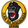 IDM Pirata logo