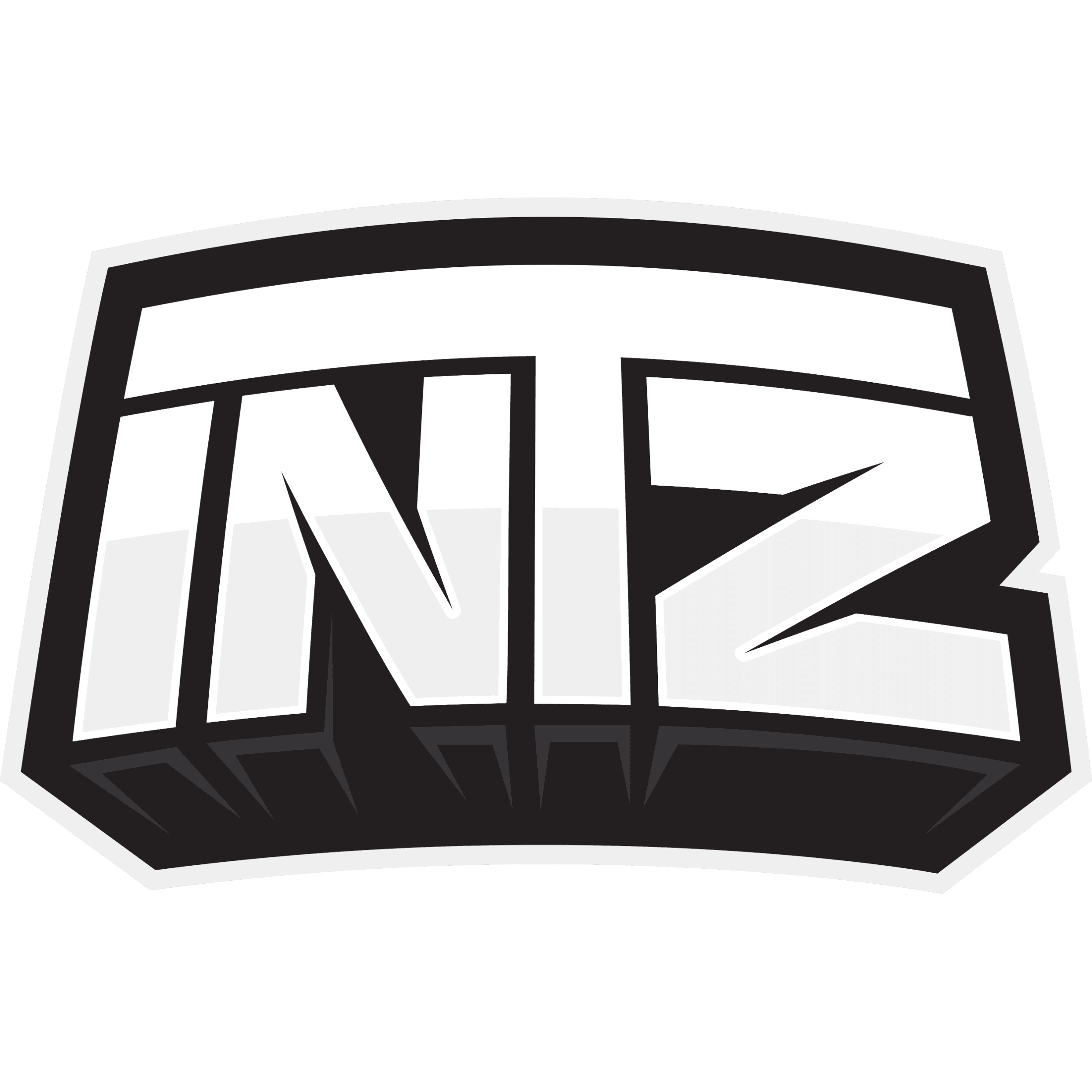 INTZ
