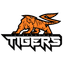 Intergalaxy Tigers Gaming