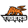 Intergalaxy Tigers Gaming logo