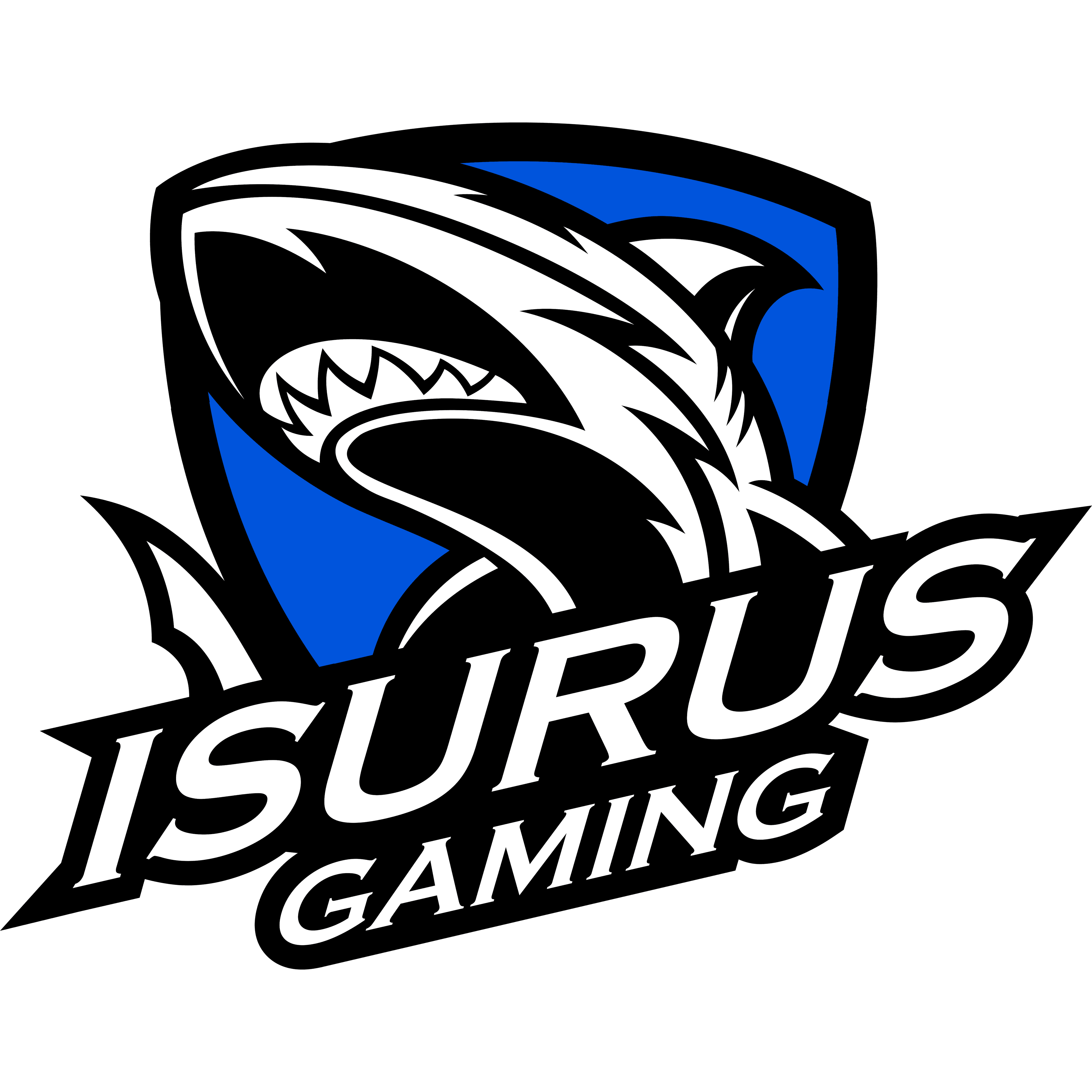 Isurus Academy