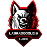 Labradoodle 9 logo