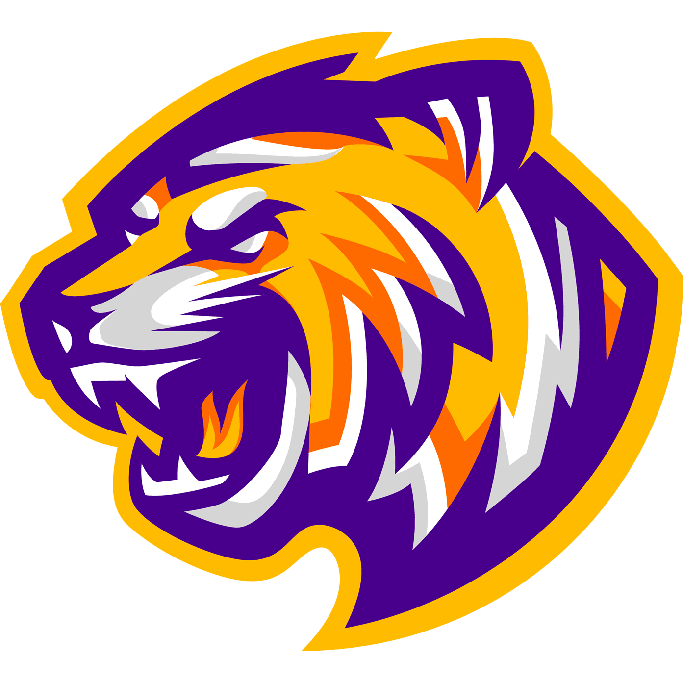 Louisiana State University