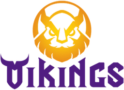 MGN Vikings Academy