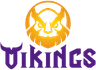 MGN Vikings Academy logo