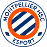 MHSC Esport logo
