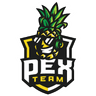 PEX Team logo