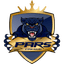 Pars eSports