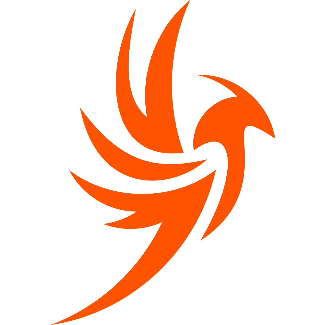 Phoenix Esports (Turkish Team)