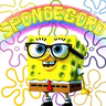 Spongecord prime logo