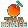 TEAM ORANGE logo