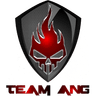 Team ANG logo
