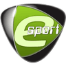 Team Acer logo