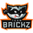 Team Brickz
