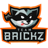 Team Brickz logo