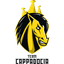 Team Cappadocia logo