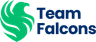 Team Falcons logo