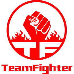 Team Fighter