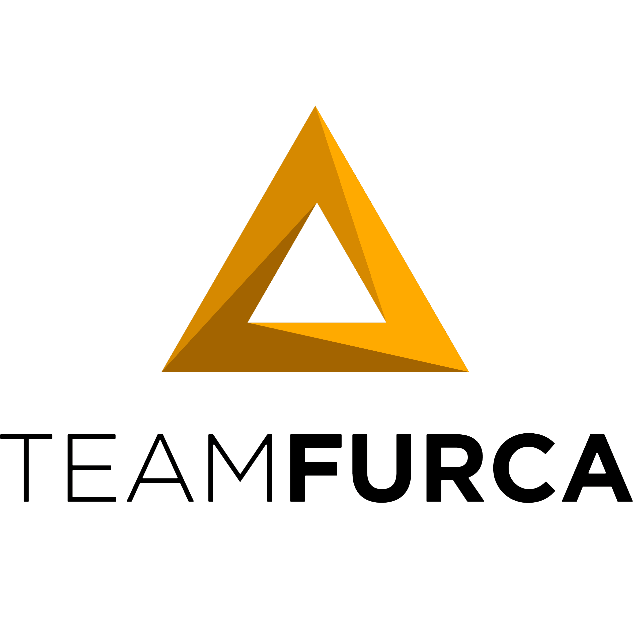 Team Furca