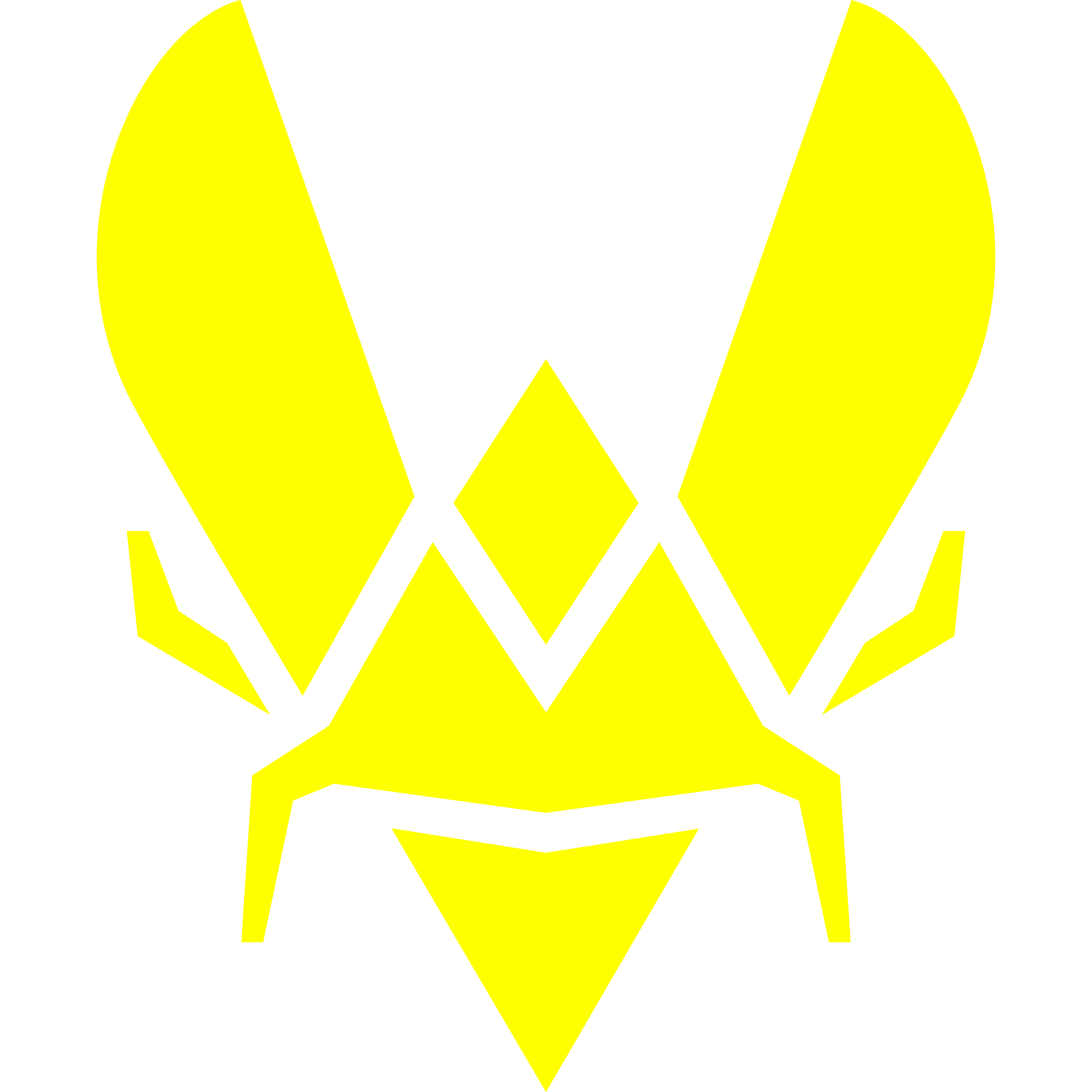 Team Vitality