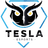 Tesla E-Sports